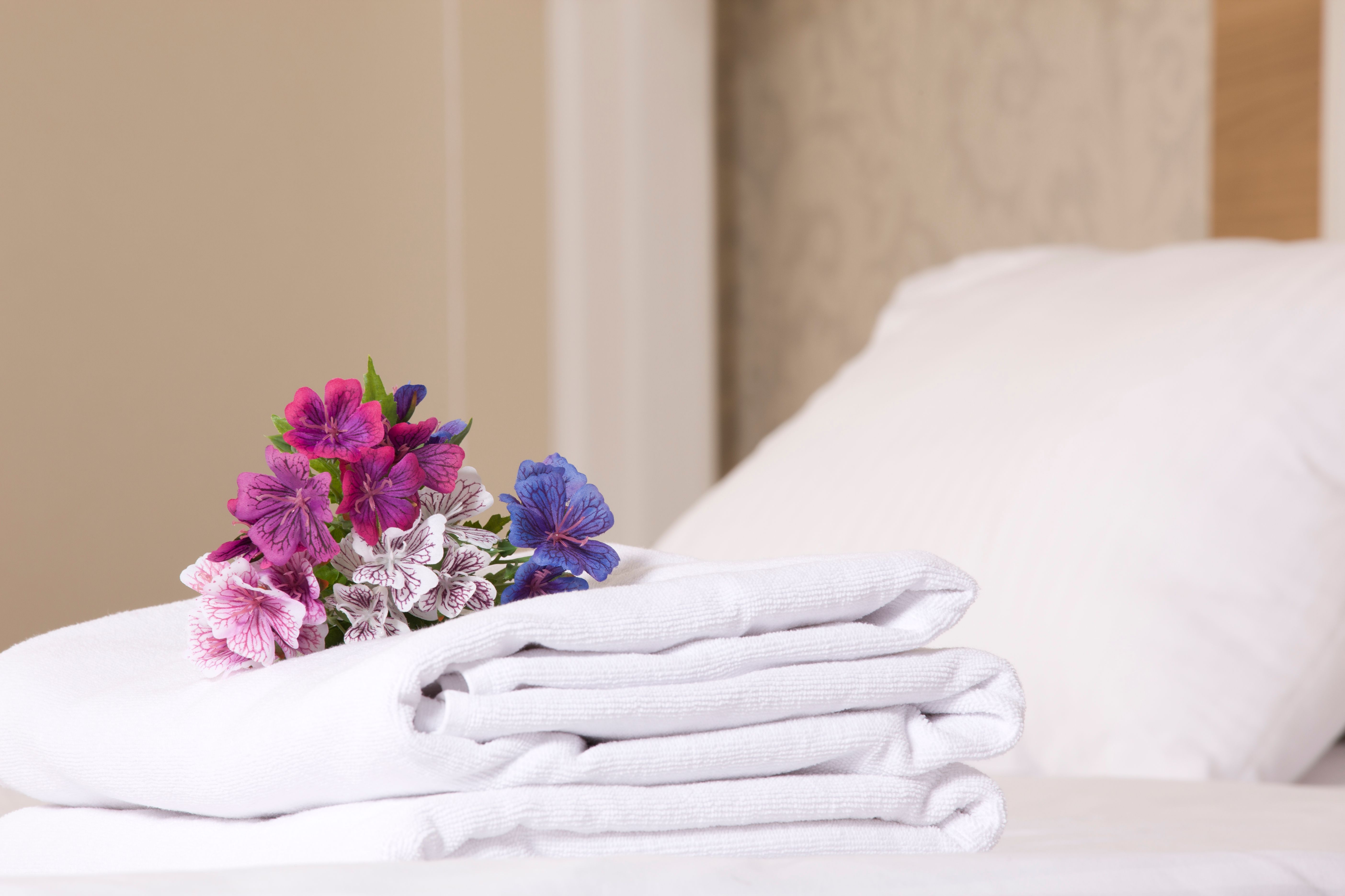 Your Peaceful Retreat in the Heart of the City